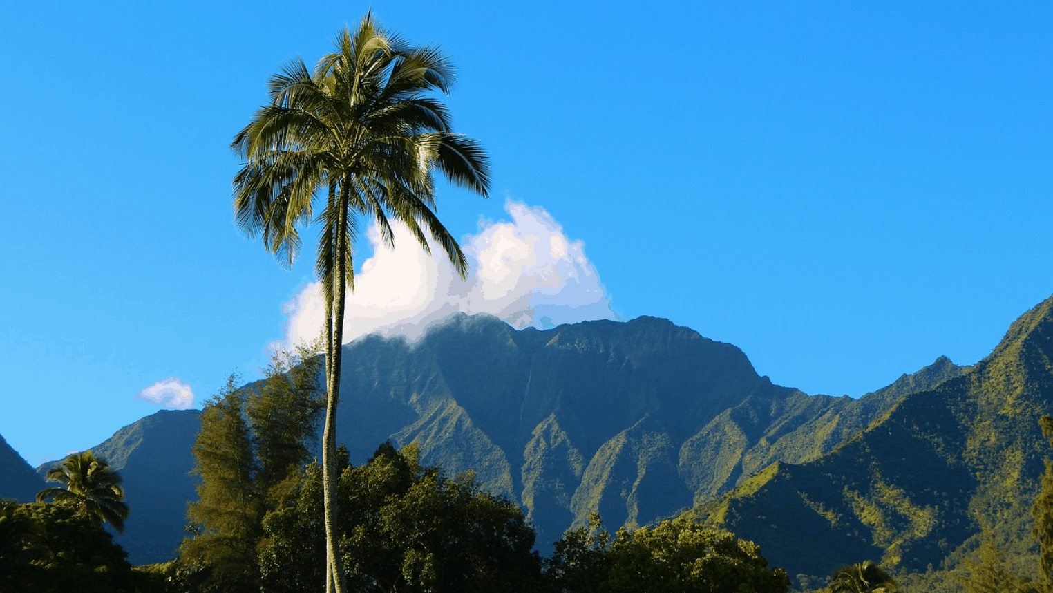 SFPE Hawaii Conference | Origin Fire Consultants