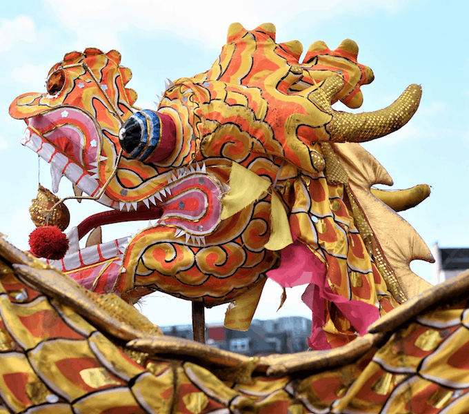 Year of the pig