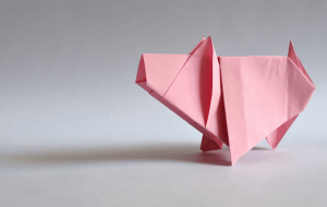 Year of the pig origami | Origin Fire